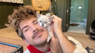 Giving My Rescue Kittens Away...