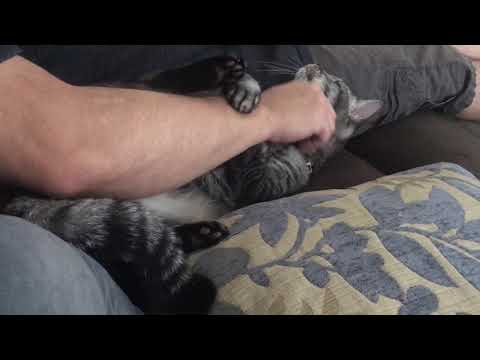 Aru's favorite moment