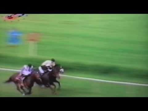 Nagroda Jaroszówki - 14.05.1994 - Bondar (Miami Prince - Bolidka)