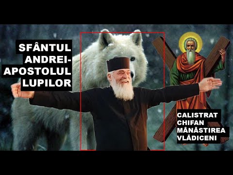Sfântul Andrei, Apostolul Românilor