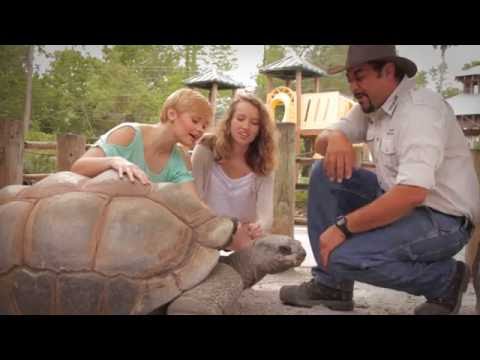 Gatorland Trainer for a Day Commercial