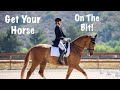 How To Get Your Horse On The Bit