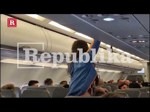 Miljana Kulić beži kod Zole, divlja u avionu