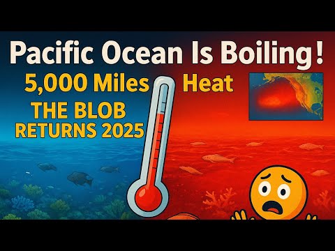 The Pacific Is Boiling 🌊🔥 | The Blob Heatwave Returns in 2025