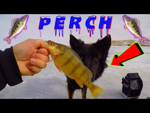 WORST Day EVER Ice Fishing For Perch!! / Thin Ice Coming! / Terrible Day On The Ice!