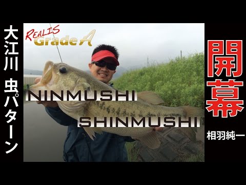 DUO Ninmushi 3.8cm F023 Bluegill II