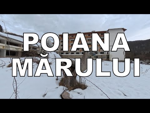 ZBOR PESTE POIANA MĂRULUI. Paradisul naturii din Munții Țarcu