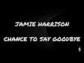 Jamie Harrison Chance To Say Goodbye Lyrics Video