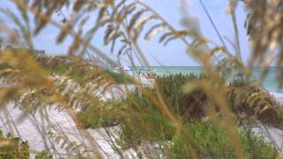 preview picture of video 'Longboat Key, Florida - DWELL Real Estate'