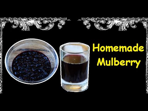 Homemade Mulberry / Book of recipes / Bon Appetit