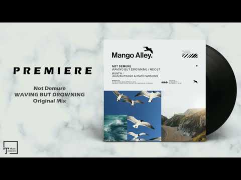 PREMIERE: Not Demure - Waving But Drowning (Original Mix) [MANGO ALLEY]