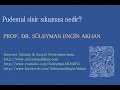 Prof. Dr. Süleyman Engin Akhan Prof. Dr. Süleyman Engin Akhan