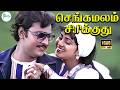 SENGAMALAM SIRIKUTHU செங்கமலம் சிரிக்குது Tamil Love Song HD