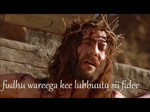 ILaa hoolaa waaqayyoo @seenaa qixxaataa @solomon Alamuu farfanaa afaan oomo