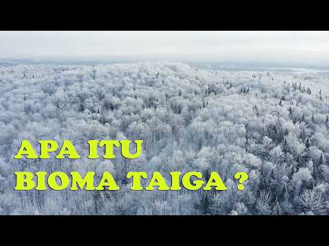 Taiga: Hutan Terbesar yang Hampir Tak Pernah Dibicarakan