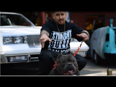 Tc Kapone - I'm That (Official Music Video) 1080p