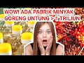 3 Perusahaan Minyak Goreng Terbesar Di Indonesia