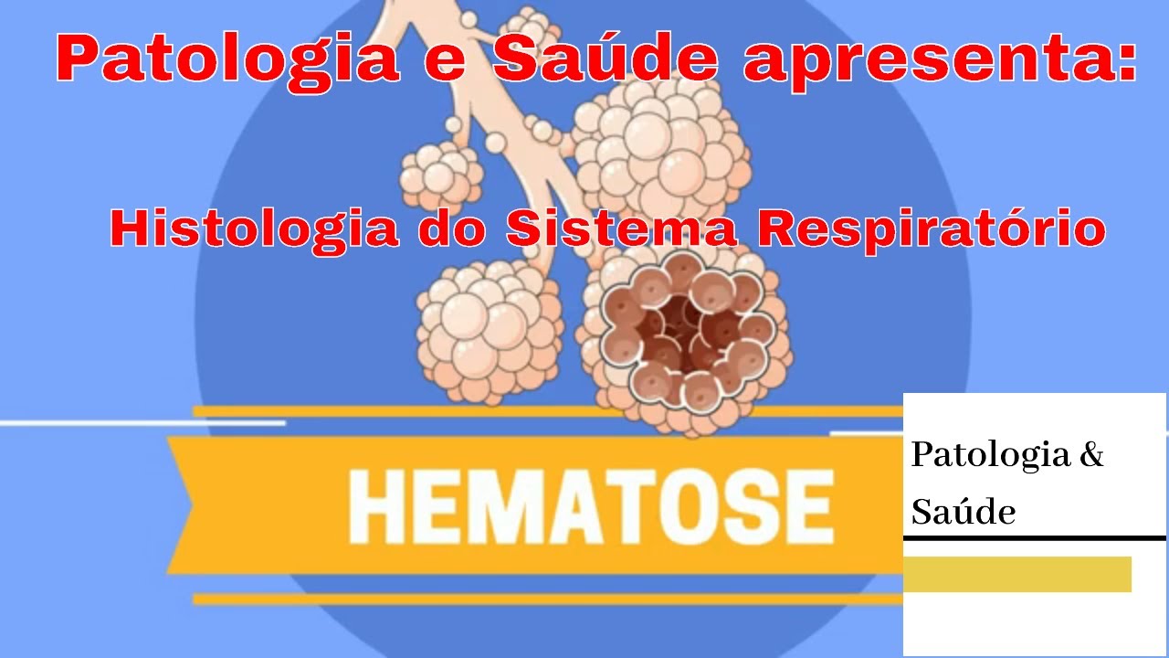 Histologia do Sistema Respiratório: Hematose