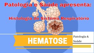 Histologia do Sistema Respiratório: Hematose