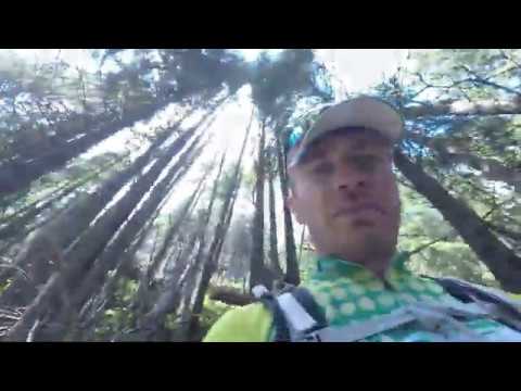 Vârful Bucșoiu 2492m