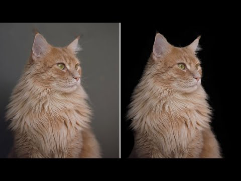Best Way to SELECT Hair And Fur Precisely in Affinity Photo