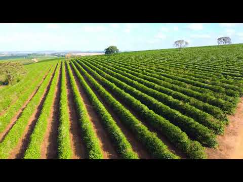 Lugares da nossa região alfenas minas Gerais Brasil 