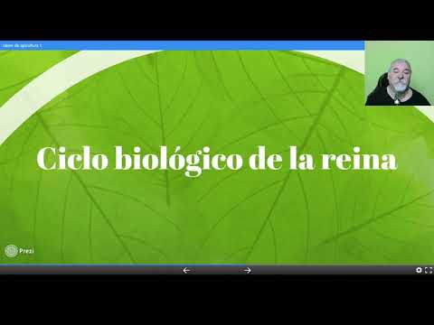 Beekeeping classes 2