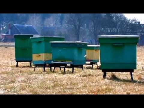 Gospodarstwo Pszczelarskie "Pszczółka" Jerzy Lara Garnek Gmina Kłomnice