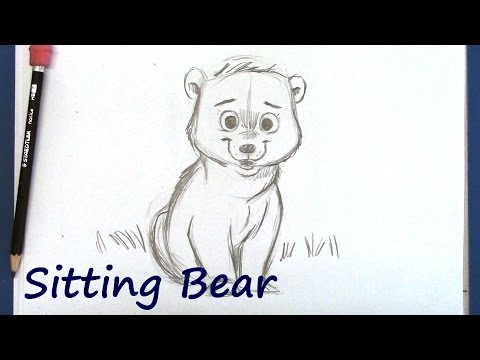 How to Draw a Cartoon Bear for Beginners - YouTube