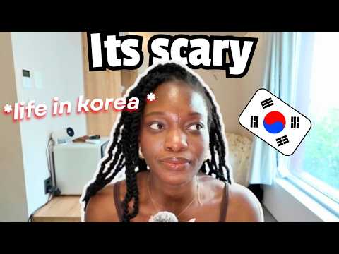 "인종차별은 전 세계 어디나 있다" 한국 유학 브이로그에 쏟아진 해외 댓글