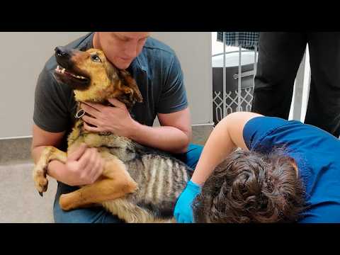 Watch her reaction when she’s told she’s a GOOD GIRL for the first time