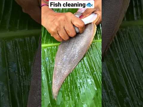 Nang fish cleaning (sole fish)