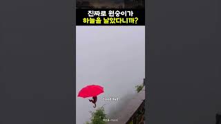 떳다 손오공