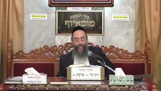 זרע שמשון - פרשת כי תצא - הרב יוסף חיים אוהב ציון
