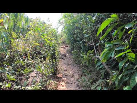 South goa beaches butterfly beach way