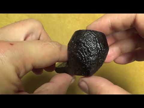 Pipa Dunhill Shell Briar gruppo 3 - 3204 (2024) - DHSH258