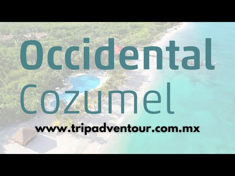 Videos del Occidental Cozumel 5★ en Cozumel, MéxicoVer MásVerPrecios18CerrarConsulta por Whatsapp 🇦🇷BookingTripadvisorExpediaAgodaTravelocityOrbitzPricelineTripSkyscannerKayakHotelesDestiniaTrivagoTurismocityAlmundoLastminuteHotwireCheaptickets