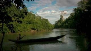 Stranger in the Forest: "First Contact" in the Amazon