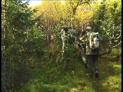 Villmarksliv: Elgjakt med Vebjørn Rodal og Ådne Søndrål hos Plahtes Eiendommer