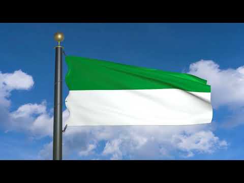 Flag of Pivijay Magdalena