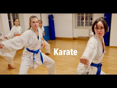 MTV Karate