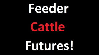 Feeder Cattle Futures!