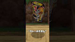 カレーみそきんが落ちてたから勝手に食べてみた！