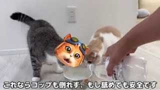 ジパキに炭酸水飲ませたらおもろすぎた件ꉂꉂ😂爆笑