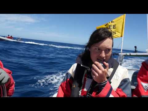 We. Are. Greenpeace.