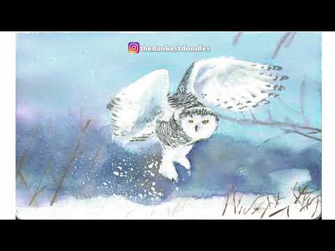 Watercolour Timelapse: Snowy Owl