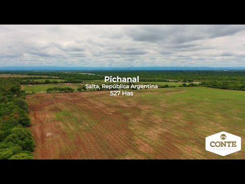 Conte Bienes Raices - Pichanal, 527 Has