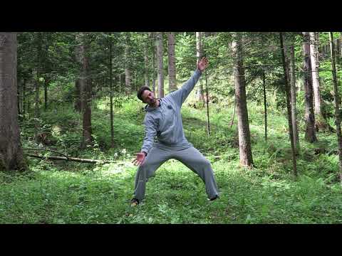 Spine Mobility 3/5 Frontal