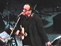 Elvis Costello 2002 - Dust / Chewing Gum