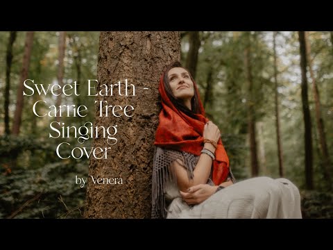 Play Video Youtube Video